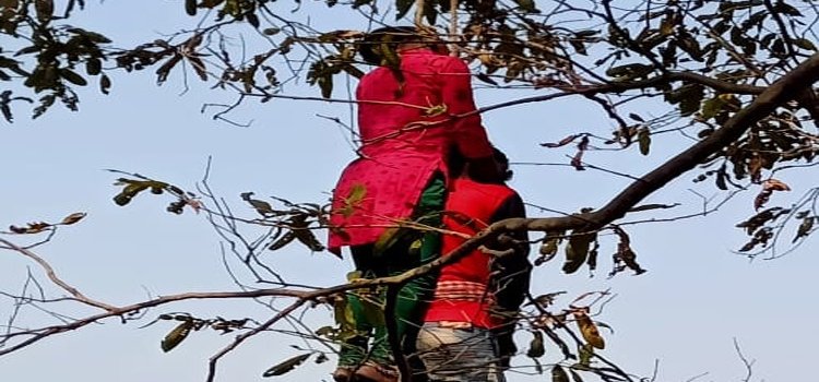ପ୍ରେମି ଯୁଗଳ'ଙ୍କ ଝୁଲନ୍ତା ମୃତଦେହ ଉଦ୍ଧାର