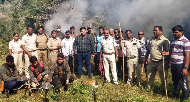 ୫ କୋଟିରୁ ଉର୍ଦ୍ଧ୍ୱ ଟଙ୍କାର ଗଞ୍ଜେଇ ଗଛକୁ ପୋଡି ନଷ୍ଟ କରାଗଲା