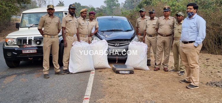 ୮୧କେଜି ଗଞ୍ଜେଇ ସହ ଗାଡ଼ି ଜବତ ଗଞ୍ଜେଇ ମାଫିଆ ଫେରାର