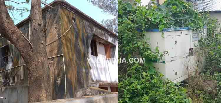 ମୋହନା ବ୍ଳକ କୋଠା ପାଲଟିଛି ମରଣ ଯନ୍ତା ଖତ ଖାଉଛି ଜେନେରେଟର