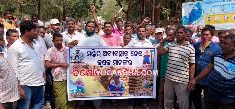 ଗଜପତି କୃଷକଙ୍କ ଆନ୍ଦୋଳନ ପରେ ପ୍ରଶାସନ ଚେତିଲା; ଧାନ କ୍ରୟ ପ୍ରକ୍ରିୟା ଆରମ୍ଭ