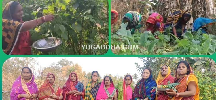 ମୋ ଉପକାରୀ ବଗିଚା ଦ୍ବାରା ଘରେ ଘରେ ପୃଷ୍ଠିକର ଖାଦ୍ୟ