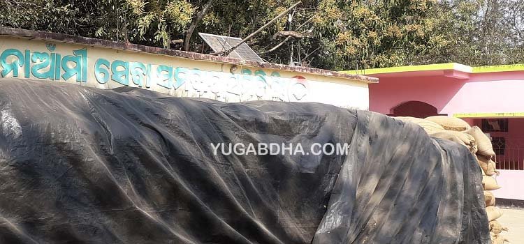 ମିଲର ଆସୁନାହାଁନ୍ତି ସମିତିରେ ପଡିରହିଛି ଧାନ