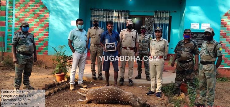 ହରିଣ ମାରିବା ଅଭିଯୋଗରେ ଜଣେ ଗିରଫ