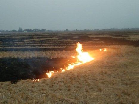 କଟା ଧାନ ବିଲରେ ନିଆଁ, ପରିବେଶ ଧୁମ୍ରମୟ