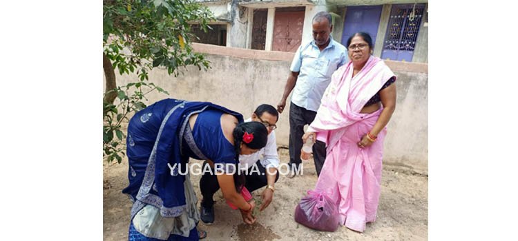 ପାଣ୍ଡିରି ସ୍କୁଲରେ କିଚେନ ଗାର୍ଡେନ