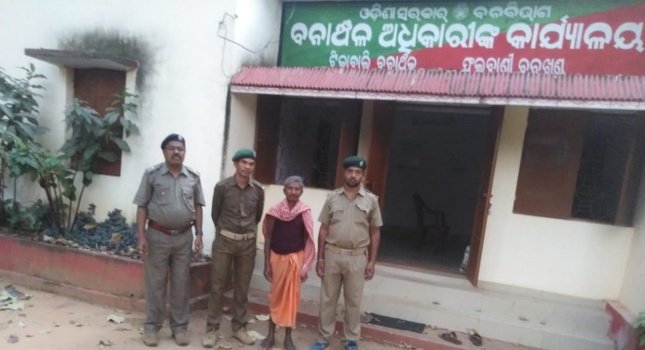 ଜଙ୍ଗଲରେ ନିଆଁ ଲଗାଉଥିବାବେଳେ ବନ କର୍ମଚାରୀ ଙ୍କ ଦ୍ଵାରା ଜଣେ ଗିରଫ : କଡା ପାଟ୍ରୋଲିଂ