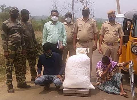 ଗଜପତିରୁ ଆନ୍ଧ୍ରକୁ ଗଞ୍ଜେଇ ଚାଲାଣ ବେଳେ ୨ ଗିରଫ