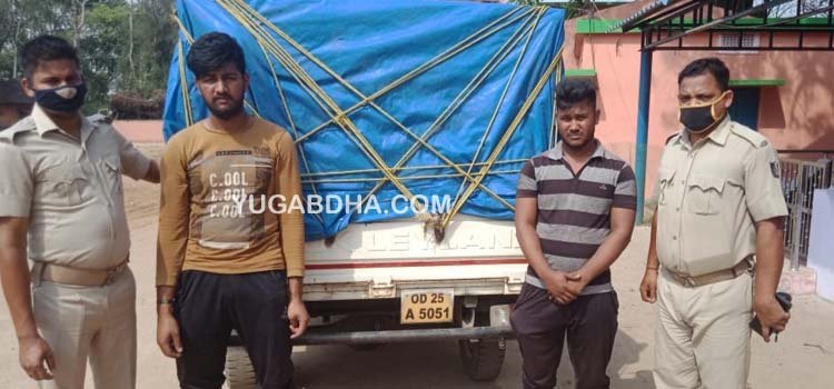 ଗୋରୁଗାଡି ଜବତ