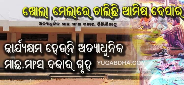 ଉଦଘାଟନ ପରେ କାର‌୍ୟ୍ୟକ୍ଷମ ହୋଇପାରୁନି ଅତ୍ୟାଧୁନିକ ମାଛ ,ମାସଂ ବଜାର ଗୃହ : ଆଳ ଦେଖାଉଛନ୍ତି ଆମିଷ ବେପାରୀ