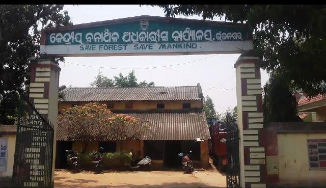 କାଠ, 8 ଖଣ୍ଡ ଶାଳ ପଟା ସହ ଟ୍ରାକ୍ଟରକୁ ଜବତ କଲା ବନବିଭାଗ