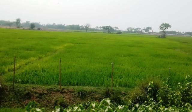 ରବିଧାନ ପଞ୍ଜିକରଣ ପାଇଁ ଚାଷୀଙ୍କ ଦାବି