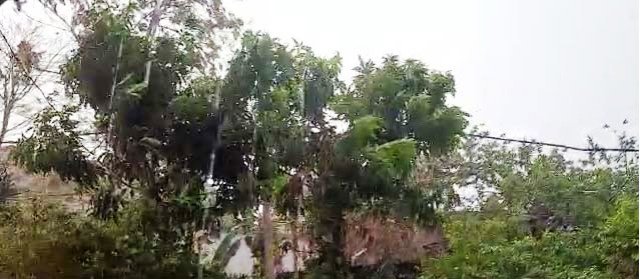 କଳାହାଣ୍ଡିରେ କାଳ ବୈଶାଖି ସହ କୁଆପଥର ବର୍ଷା