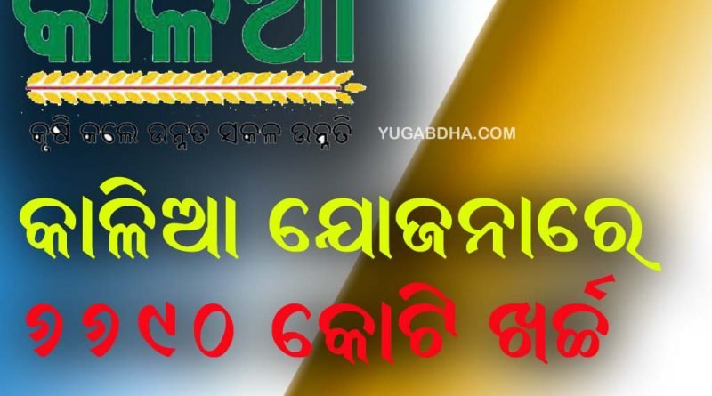 କାଳିଆ ଯୋଜନାରେ ରାଜ୍ୟ ସରକାର ଖ‌ର୍ଚ୍ଚ କରିଛ‌ନ୍ତି ୬୬୯୦ କୋଟି ଟଙ୍କା