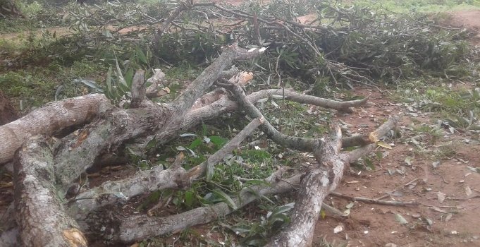 ରାସ୍ତାକୁ ବନ୍ଦ କରିବାକୁ ନେଇ ଦୁଇ ଗୋଷ୍ଠୀ ମଧ୍ୟରେ ଅସନ୍ତୋଷ