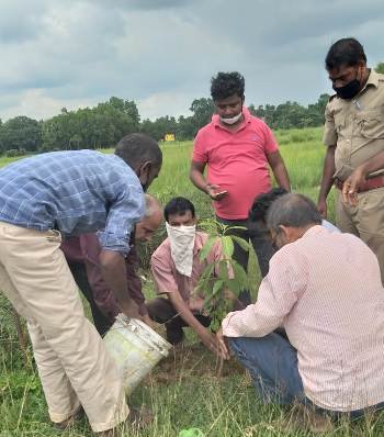 ଚାରା ରୋପଣ ଓ ସଚେତନତା କାର୍ଯ୍ୟକ୍ରମ