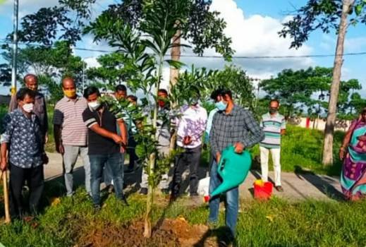 ବେଲଗୁଣ୍ଠା ତହସିଲ ଏବଂ ବ୍ଳକ୍ କାର୍ଯ୍ୟାଳୟରେ ବୃକ୍ଷରୋପଣ