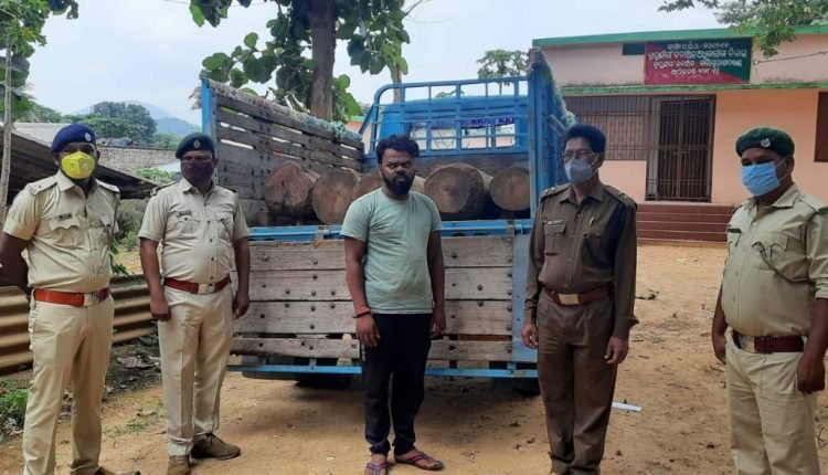 ଗ୍ରାମବାସୀଙ୍କ ସହଯୋଗରେ ବନ ବିଭାଗର ଚଢ଼ଉ, ଗାଡ଼ି ଜବତ:  ଜଣେ ଗିରଫ 