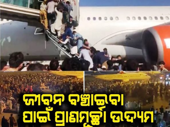 ଜୀବନ ବଞ୍ଚାଇବା ପାଇଁ କାବୁଲ ଏୟାରପୋର୍ଟରେ ଯାତ୍ରୀଙ୍କ ପ୍ରାଣମୂର୍ଚ୍ଛା ଉଦ୍ୟମ , ଉଡ଼ନ୍ତା ବିମାନରୁ ଖସି ୩ ଯାତ୍ରୀ ମୃତ