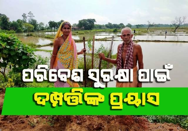 ପରିବେଶ ସୁରକ୍ଷା ପାଇଁ ବୃଦ୍ଧ ଦମ୍ପତ୍ତିଙ୍କ ଅଭିନବ ପ୍ରୟାସ