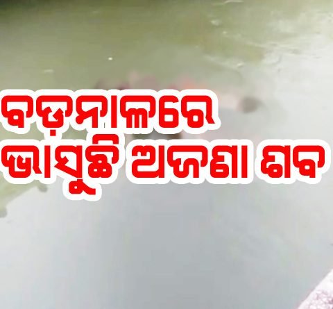 ଜଗତସିଂହପୁର ବଡ ନାଳରେ ଅଜଣା ବ୍ୟକ୍ତିର ମୃତ ଦେହ ଭାସୁଛି