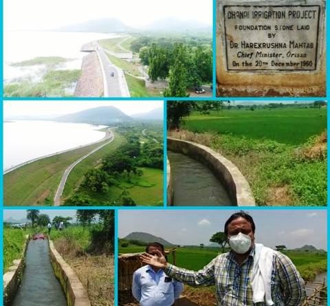 ଚାଷୀ ମୁହଁରେ ହସ ଫୁଟାଇଛି ଧନେଇ ଜଳଭଣ୍ଡାର