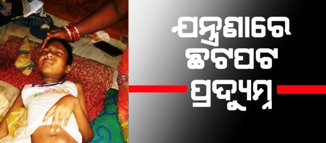 ବାସଗୃହ ବିକ୍ରୀ ଚିକିତ୍ସା କଲେ, ହେଲେ ପୁଅ ସୁସ୍ଥ ହେଲାନି