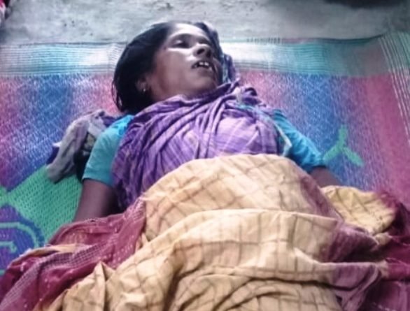 ବଳଦ ଆଘାତରେ ମହିଳା ମୃତ୍ୟୁ