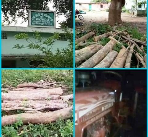 ବନ ବିଭାଗର ଅଜବନୀତି : ପଣ୍ଡିତ ପୁଅ ମାଙ୍କଡ଼ ମାରିଲେ ଦୋଷ ନାହିଁ