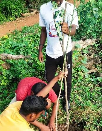ଆମ କର୍ତ୍ତବ୍ୟ ସେବା ସଙ୍ଗଠନ ପକ୍ଷରୁ ବୃକ୍ଷରୋପଣ