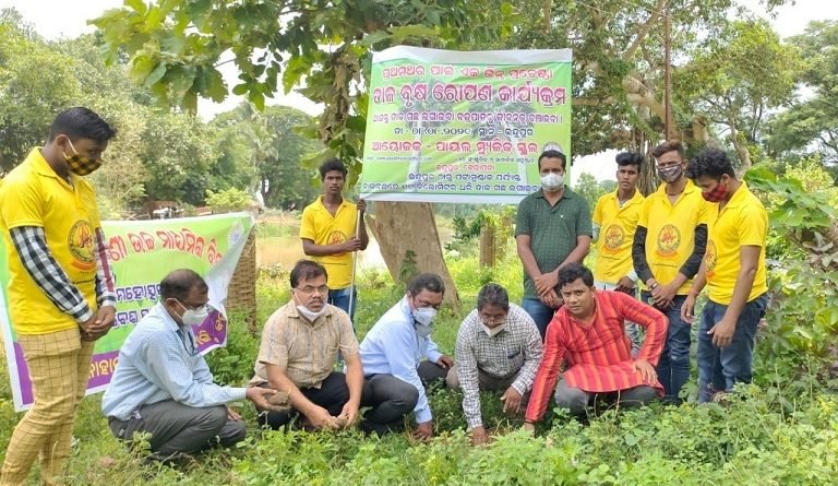 ଆସନ୍ତୁ ତାଳ ଗଛ ଲଗାଇବା: ପାୟଲ ମ୍ୟୁଜିକ ସ୍କୁଲର ଭିନ୍ନ ଏକ ପ୍ରୟାସ