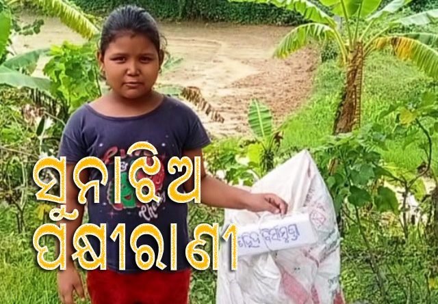 ପକ୍ଷୀରାଣୀ ମାମାଲିଙ୍କ ଆଉ ଏକ ନିଆରା ପ୍ରୟାସ ; ସ୍ୱାଧୀନତା ସଂଗ୍ରାମୀଙ୍କ ନାମରେ ବୃକ୍ଷରୋପଣ