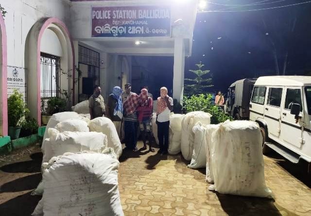 ତିରିଶ ଲକ୍ଷରୁ ଉର୍ଦ୍ଧ ଟଙ୍କାର ଗଞ୍ଜେଇ ଜବତ : ଚାରି ଗଞ୍ଜେଇ ବେପାରୀ ଗିରଫ