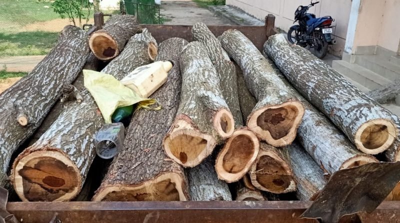 ଆକାଶୀ କାଠ ଓ ଟ୍ରାକ୍ଟର ଜବତ ୯ ଗିରଫ