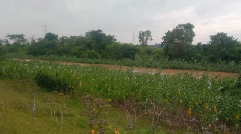 ହାଇଲେବୁଲ କେନାଲ କଳମ ସଫା ପାଇଁ ଦାବି