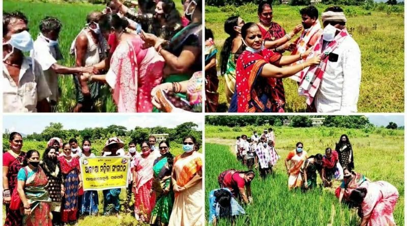 କୃଷିର ଉନ୍ନତି ପାଇଁ ନିଆରା ଢଙ୍ଗରେ କୃଷକଙ୍କୁ “ଆକାଂକ୍ଷା” ମହିଳା ସଂଗଠନ ତରଫରୁ ରକ୍ଷୀ ବାନ୍ଧି ଉତ୍ସାହିତ କରାଗଲା