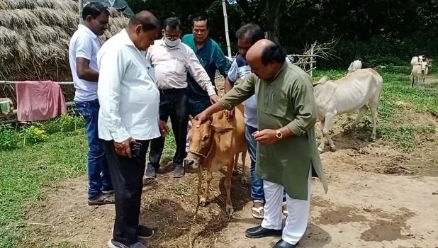 ନିଳିକଣା ଗୋରକ୍ଷଣୀଠାରେ ଗୋପୂଜନ କାର୍ଯ୍ୟକ୍ରମ