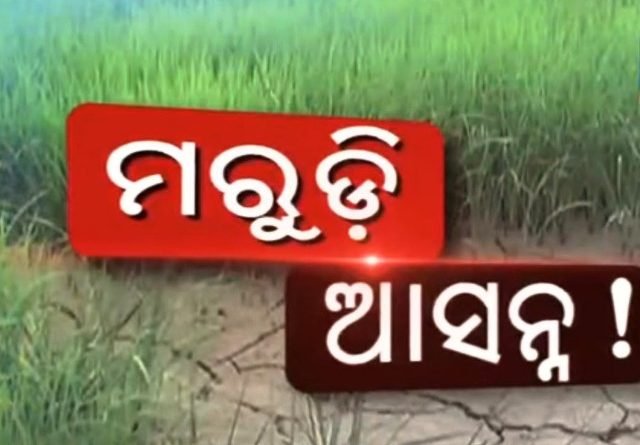ରାଜ୍ୟରେ ନିଅଣ୍ଟିଆ ବର୍ଷା, ୩୦ ପ୍ରତିଶତ କମ ବର୍ଷା ହୋଇଛି