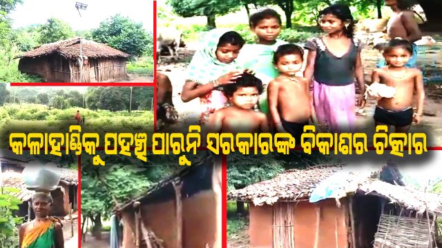 ଜୟପାଟଣା ଭିତରପଣ୍ଡି ଗ୍ରାମବାସୀ ବିକାଶର ବାଟ ଚାହିଁ ବସିଛନ୍ତି