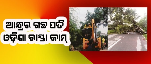 ଆନ୍ଧ୍ରରେ ପଡିଲା ଗଛ: ଓଡିଶା ରାସ୍ତା ଜାମ୍ ହେଲା ଚୁପ ରହିଲା ଆନ୍ଧ୍ର ରାସ୍ତା ସଫାକଲା ଓଡିଶା