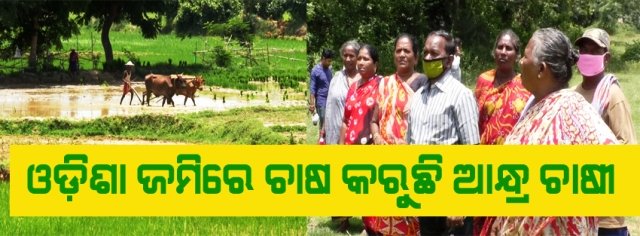 ଓଡିଶାରେ ଆନ୍ଧ୍ରର ରାଜୁତି : ଜମି ଓଡିଶାର ହେଲେ ୪୦ବର୍ଷ ହେଲା ଲାଭ ପାଉଛନ୍ତି ଆନ୍ଧ୍ରଚାଷୀ