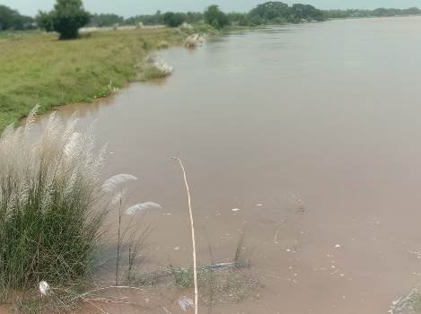 ଦେବୀନଦୀରେ ବନ୍ୟାଜଳ ବୃଦ୍ଧିପାଉଛି