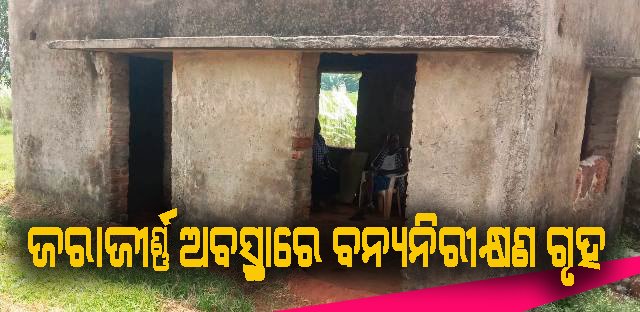 ଜରାଜୀର୍ଣ୍ଣ ଅବସ୍ଥାରେ ବନ୍ୟାନିରୀକ୍ଷଣ ଗୃହ