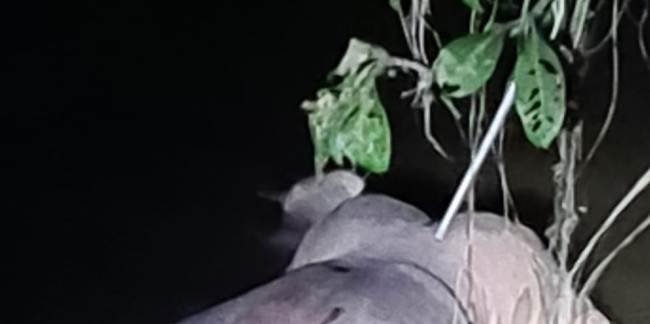 ନଦୀରେ ନିଖୋଜ ବୃଦ୍ଧଙ୍କ ମୃତଦେହ ମିଳିଲା କଲ୍ୟାଣପୁର ଠାରେ