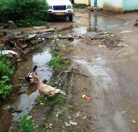 ନାଗଭଣ ଗ୍ରାମକୁ ଆଦର୍ଶ ଗ୍ରାମ ପରିଣତ କରିବା ପାଇଁ ବିଧାୟକ,ସାଂସଦ ଓ ପ୍ରଶାସନ ପାଖରେ ଗ୍ରାମବାସୀଙ୍କ ନିବେଦନ