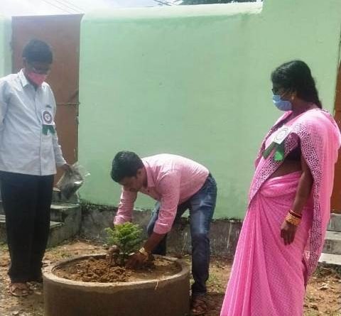 ବାଲିଭାଗ ବିଦ୍ୟାଳୟରେ ସବୁଜ ବାହିନୀ ଗଠନ