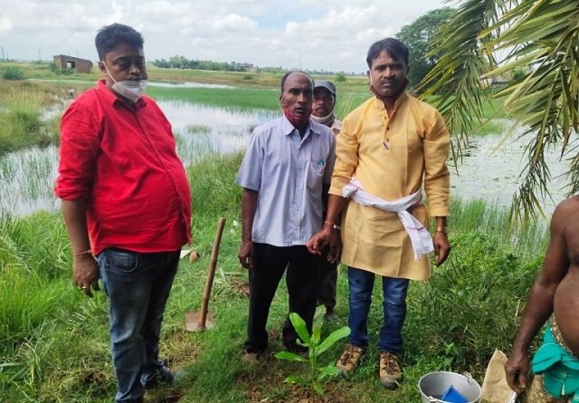ଚାରା ରୋପଣ କରି ଜନ୍ମଦିନ ପାଳିଲେ ଯୁବ ସାମ୍ବାଦିକ