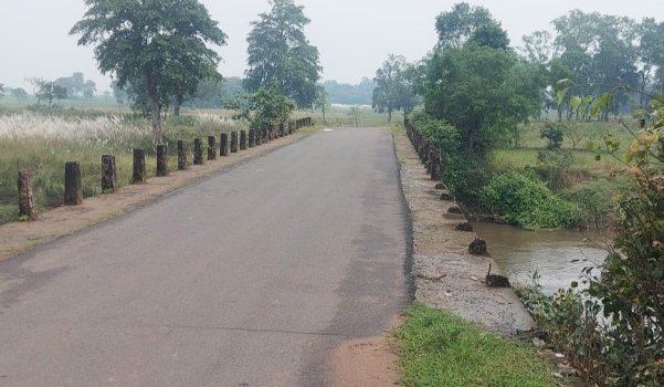 ବିପଦ ସଙ୍କୁଳ ଅବସ୍ଥାରେ ଢ଼େଙ୍କାନାଳ ପୋଲ