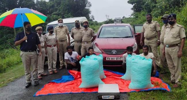 ଗଜପତିରୁ ବିହାର ଚାଲାଣ ବେଳେ ପୁଣି୯ଲକ୍ଷ ଟଙ୍କାର ଗଞ୍ଜେଇ ଜବତ