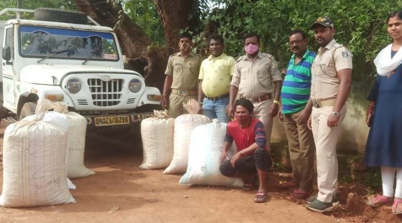 ୧୮୦ କେଜି ଗଞ୍ଜେଇ ଜବତ, ମ୍ୟାକ୍ସପିକଅପ ସହ ଜଣେ ଗିରଫ